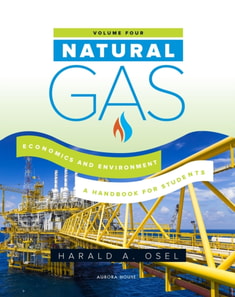 Natural Gas: Economics and Environment