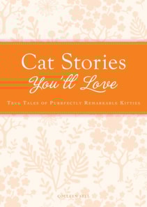 Cat Stories You'll Love