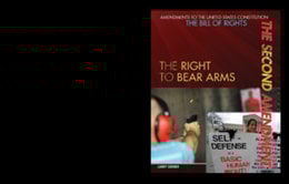 Second Amendment