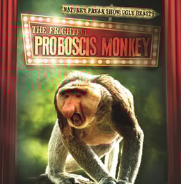 Frightful Proboscis Monkey