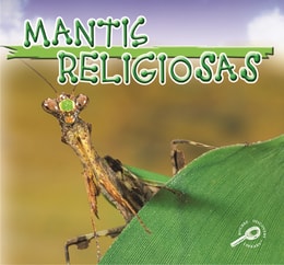 Mantis Religiosas