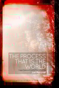 Process That Is the World