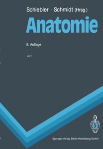 Anatomie
