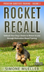 Rocket Recall