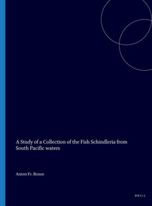 Study of a collection of the fish Schindleria from South Pacific waters