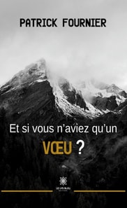 Et si vous n'aviez qu'un v u ?