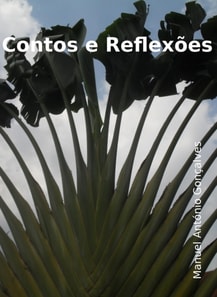 Contos e Reflexoes