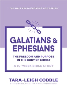 Galatians & Ephesians (The Bible Recap Knowing God Series)