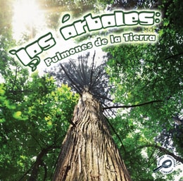 Los arboles: Pulmones de la tierra