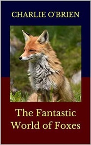 Fantastic World of Foxes