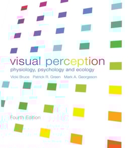 Visual Perception