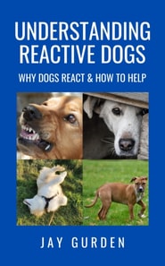 Understanding Reactive Dogs: Why Dogs React & How to Help
