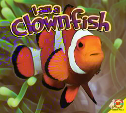 Clownfish