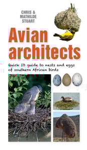 Quick ID Guide - Avian Architects