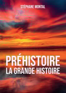 Prehistoire, la grande Histoire