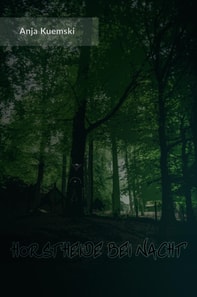 Horstheide bei Nacht