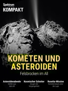 Spektrum Kompakt - Kometen und Asteroiden