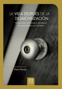 La vida después de la desmovilización: percepciones, emociones y estrategias de exparamilitares en Colombia