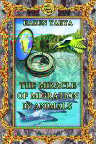 Miracle of Migration in Animals