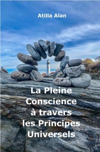 La Pleine Conscience a travers les Principes Universels