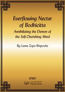 Everflowing Nectar of Bodhicitta eBook