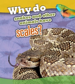 Why Do Snakes and Other Animals Have Scales?