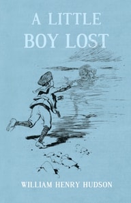 Little Boy Lost