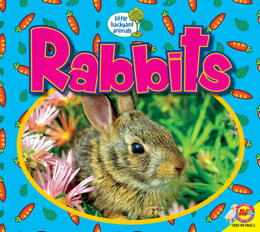 Rabbits 