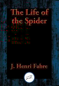 Life of the Spider