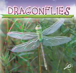 Dragonflies