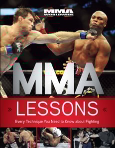 Mixed Martial Arts Lessons