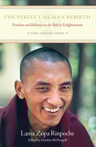 Perfect Human Rebirth: Freedom and Richness on the Path to Enlightenment