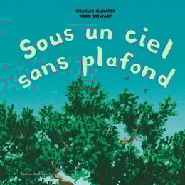 Sous un ciel sans plafond