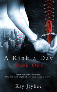 Kink a Day Book One