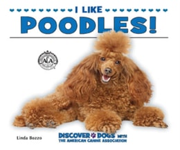 I Like Poodles!