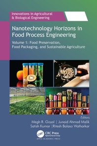 Nanotechnology Horizons in Food Process Engineering
