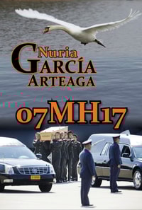 07MH17