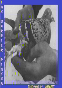 Carrier Pigeon
