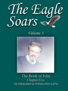 Eagle Soars: Volume 3; The Book of John, Chapter 5