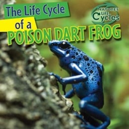 Life Cycle of a Poison Dart Frog