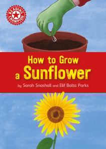 How to Grow a Sunflower