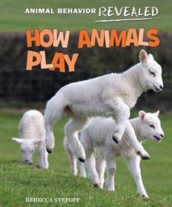 How Animals Play