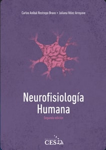 Neurofisiologia humana
