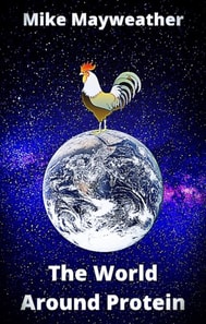 World Around Protein
