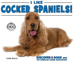 I Like Cocker Spaniels!