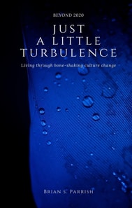 Just a Little Turbulence: Living Through Bone-Shaking Culture Change