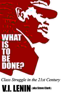 What Is To Be Done? Class Struggle in the 21st Century