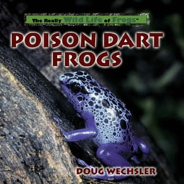 Poison Dart Frogs