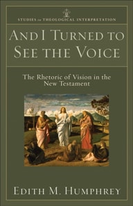 And I Turned to See the Voice (Studies in Theological Interpretation)