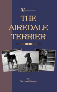 Airedale Terrier